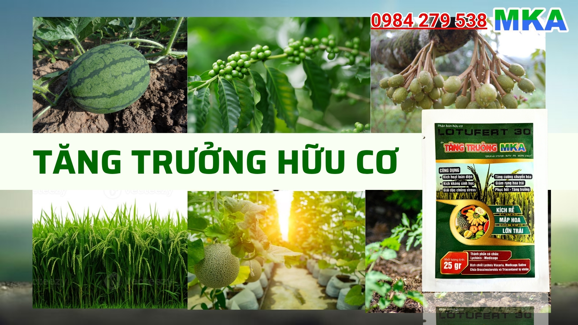 Tăng trưởng MKA